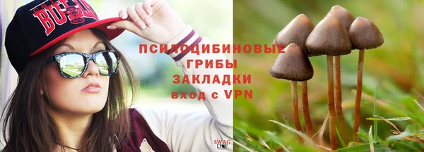 тгк Осташков