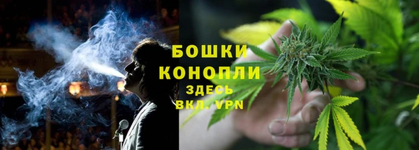 ГАЛЛЮЦИНОГЕННЫЕ ГРИБЫ Баксан