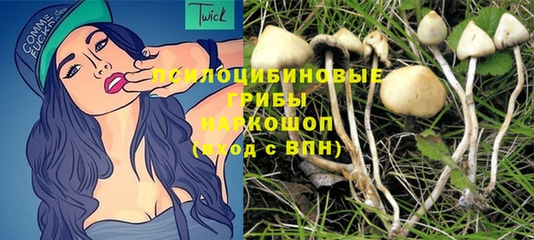 шишки Арсеньев