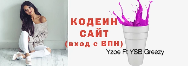 шишки Арсеньев