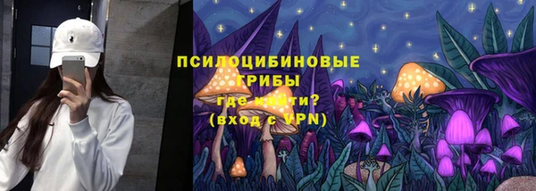 шишки Арсеньев